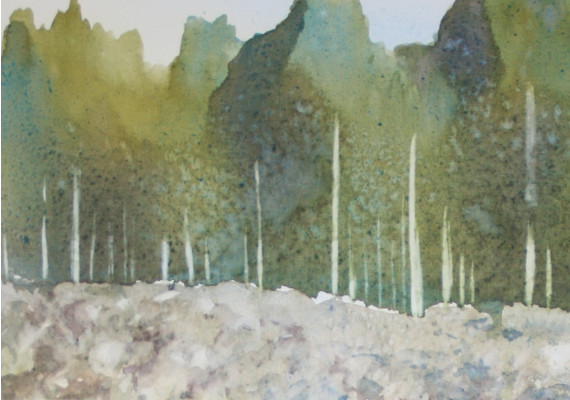 61 x 50 cm - <i>disponible</i>